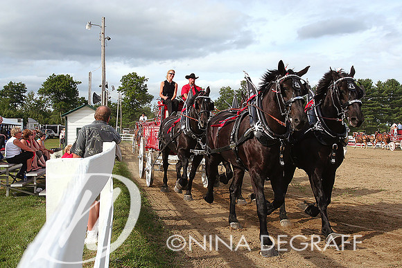 Horse and Pony Show, Windsor Maine