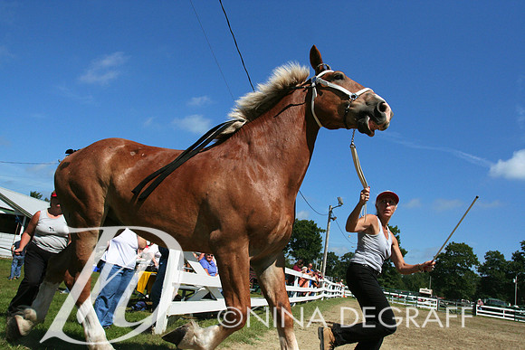 Horse and Pony Show, Windsor Maine