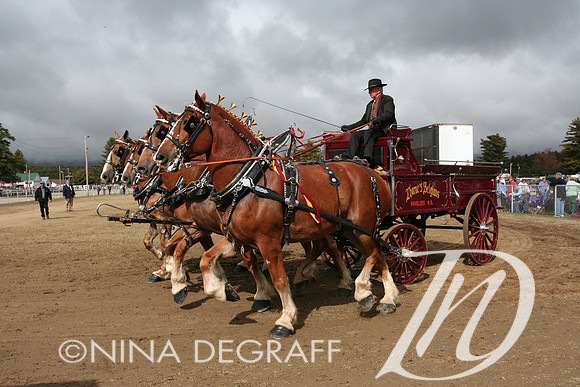 Four-abreast carriage hitch